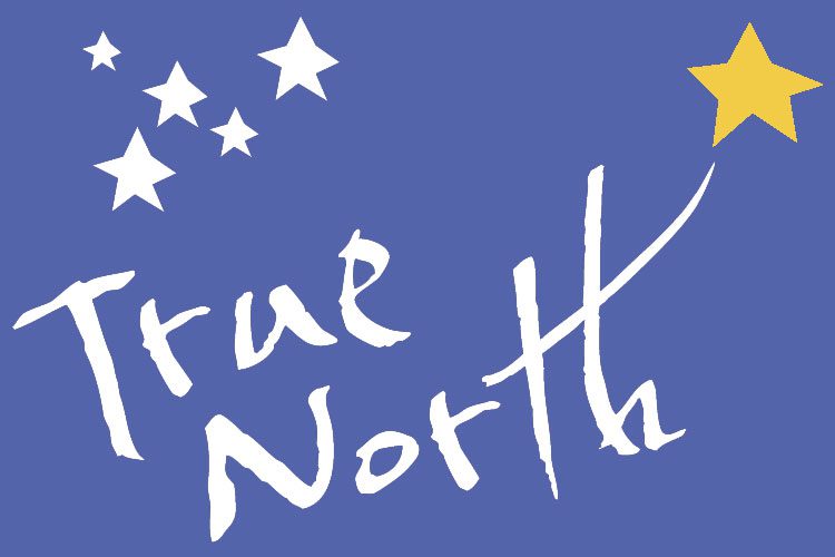 TNlogo-yellow-star-logo