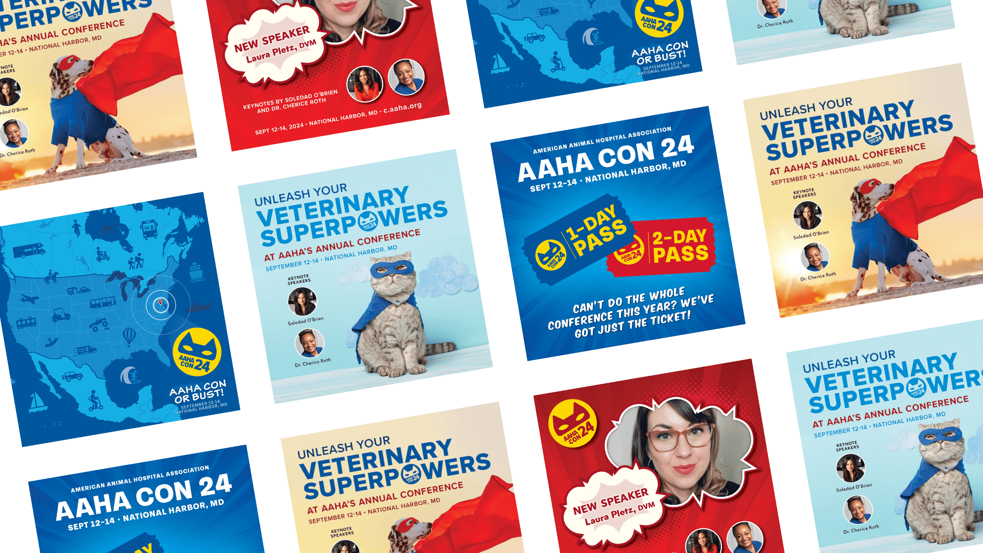 Digital Ads - AAHA Case Study 2024