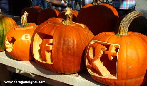 Facebook Pumpkin, Google+ Pumpkin & Twitter Logo Pumpkin